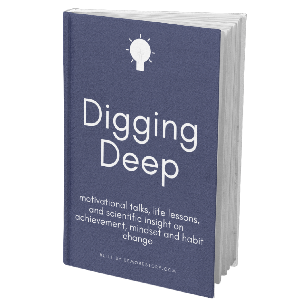The Digging Deep Accountability System